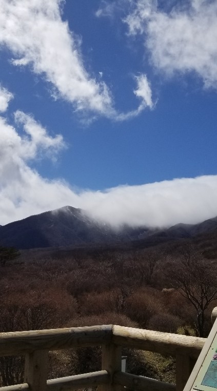 那須に引っ越した！