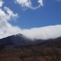 那須に引っ越した！