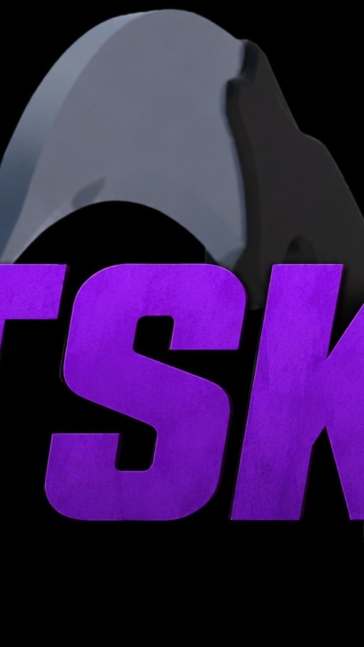 👑TSK副戰隊🔫
