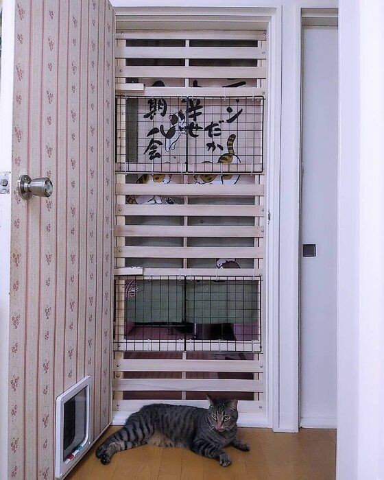 猫が「安心しているときにだけ」見せるしぐさ＆体勢とは