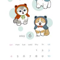 猫雑談・談話室