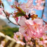 暇な時話そうや