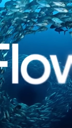 กลุ่ม flow2