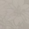 緩くない全夢