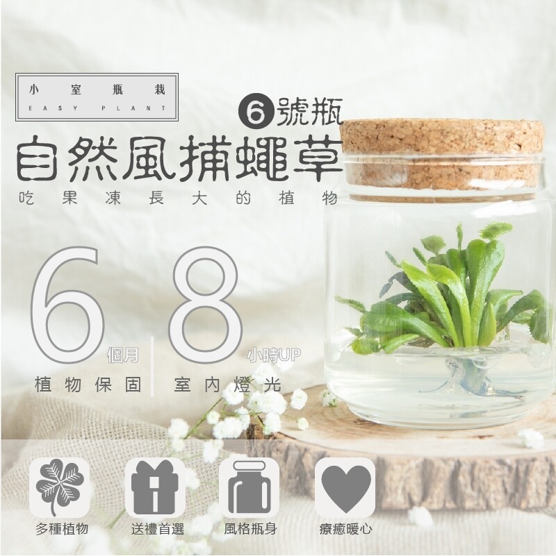獨家首創，提供活體植物180天保固，小室瓶栽希望每一個人都可以用更簡單輕鬆的心情去照顧並認識植物，同時也希望讓初學者可以更加放心的去體驗植物生長的樂趣。 ———————————————————————