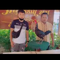 บ้านสุราฟาร์ม