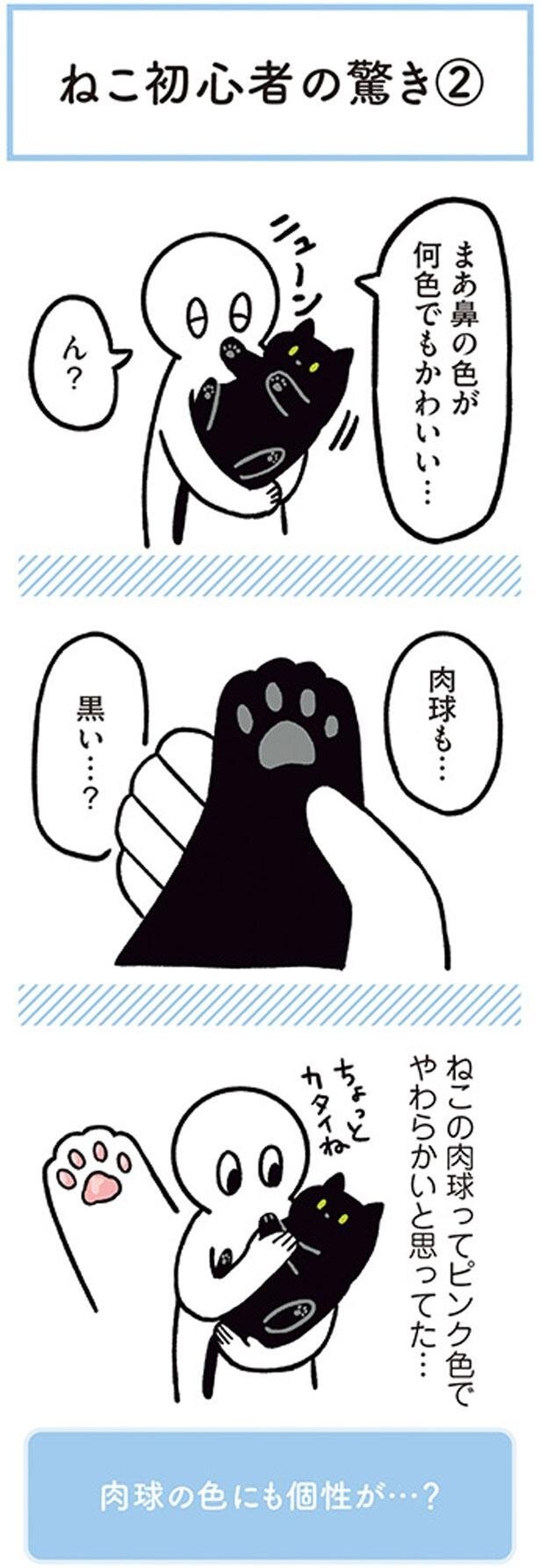 驚きと優しさ 黒猫ろんと暮らしたら2 8