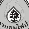 หัวหน้าศูนย์ไฟป่า
