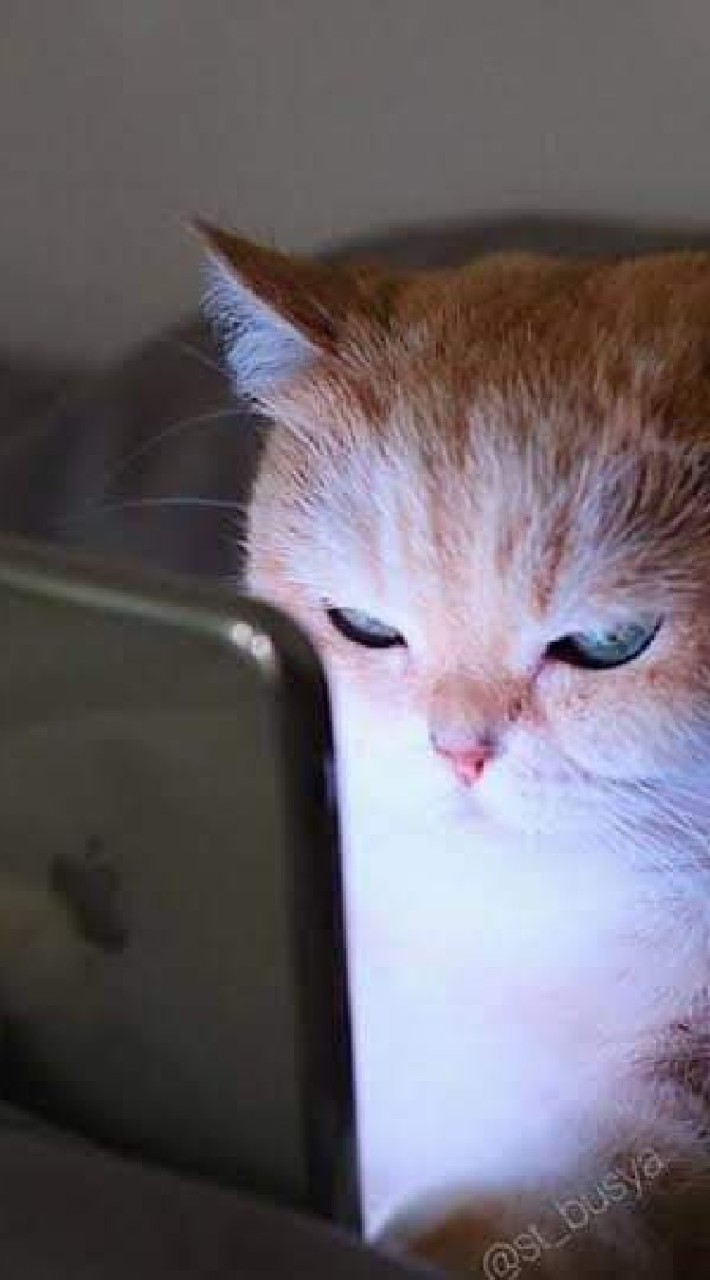 OpenChat Digital art แจกบรัซ ขายบรัซ แบ่งปันความรู้ อวดงาน