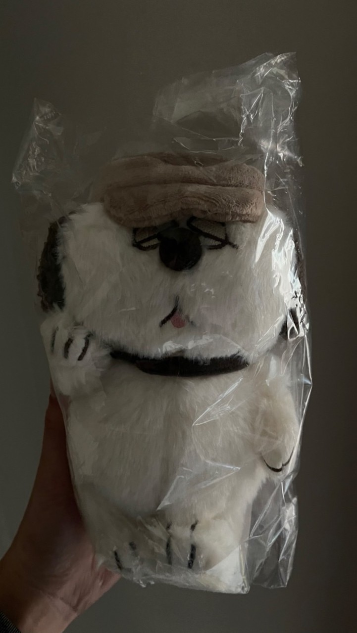 日本代購 歐拉夫 史努比