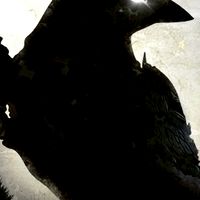 🚨Night Crows Global :夜鴉 攻略討論群🚨