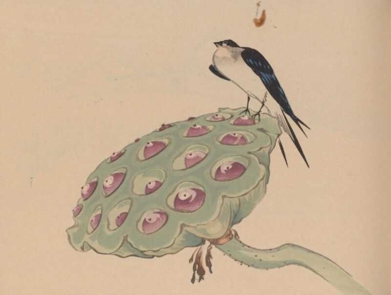 無料ダウンロード公開 ワンコ可愛すぎ 明治時代の墨絵の作品集 邦画帖 がかなり学べる