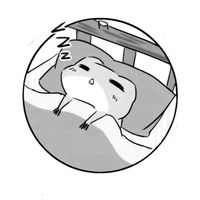 冬眠蛙の粉絲團