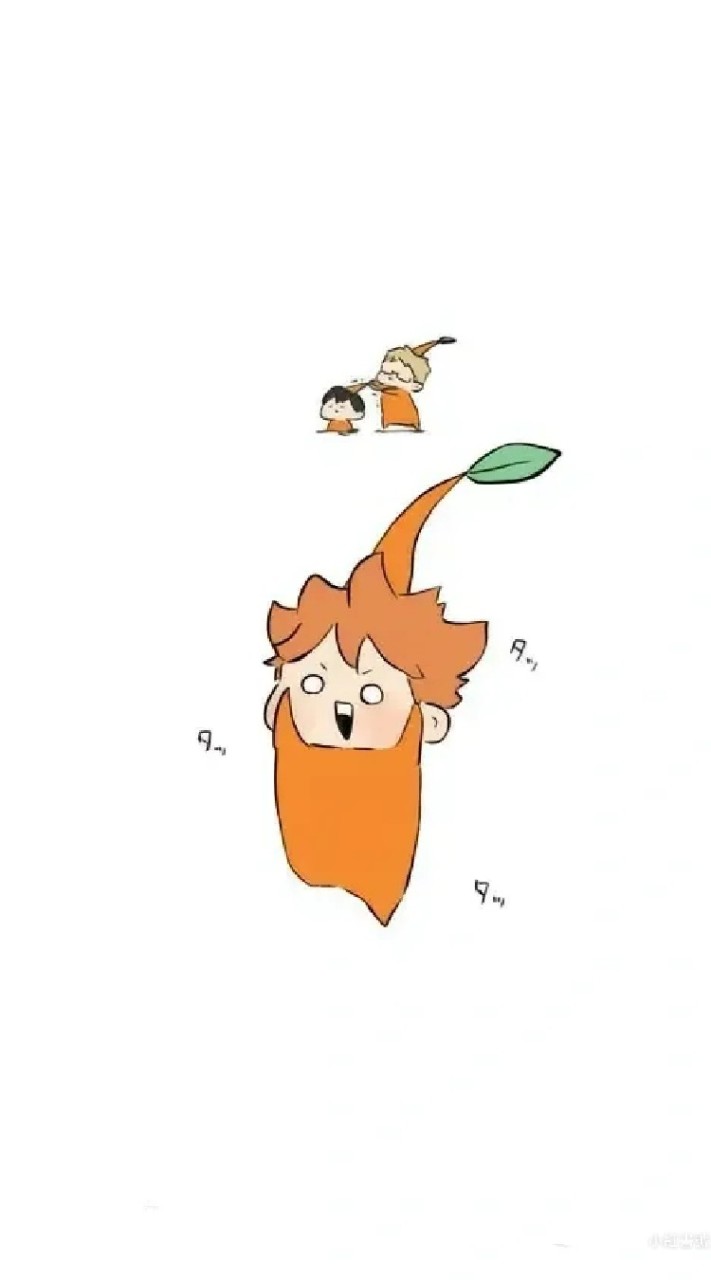 軒排少開團代購