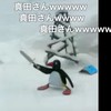 ✨愉快なホモと靴下たち✨