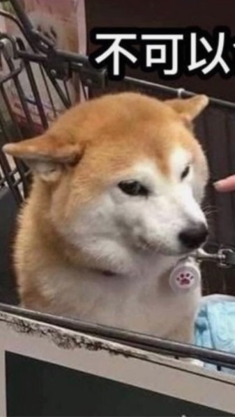 蛤好吃好吃好好吃