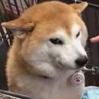 蛤好吃好吃好好吃