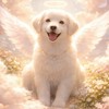 動物のお医者さんがこっそり教える　ペットロスとの寄り添い方