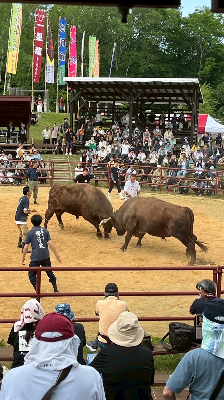 LiveStock研究会2026