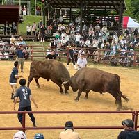 LiveStock研究会2026