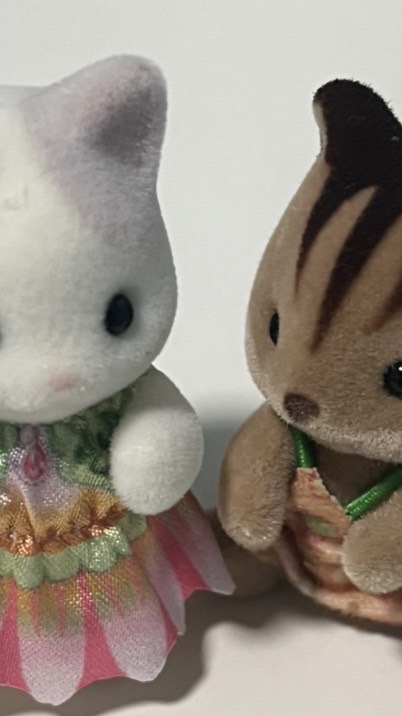 รับหิ้ว / ปล่อยต่อ Sylvanian Families 🐰🎀