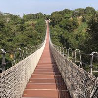 🇹🇼越南🇻🇳外派—海防群