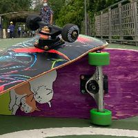 skatebood