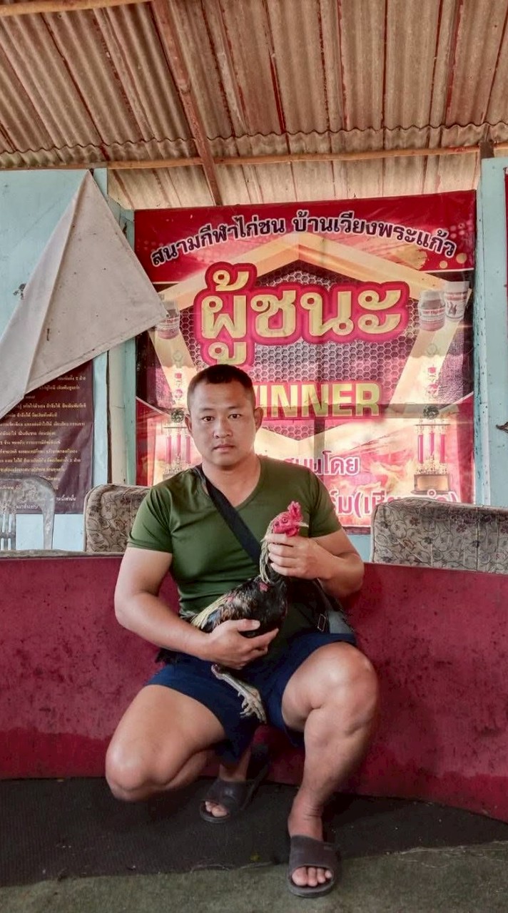 ไชยโยฟาร์ม ศูนย์รวมสายพันธุ์ไก่ชนเพื่อพัฒนา