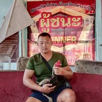ไชยโยฟาร์ม ศูนย์รวมสายพันธุ์ไก่ชนเพื่อพัฒนา