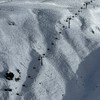 Kiwi Explorer 紐西蘭滑雪