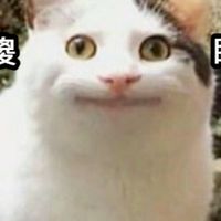傻眼貓咪