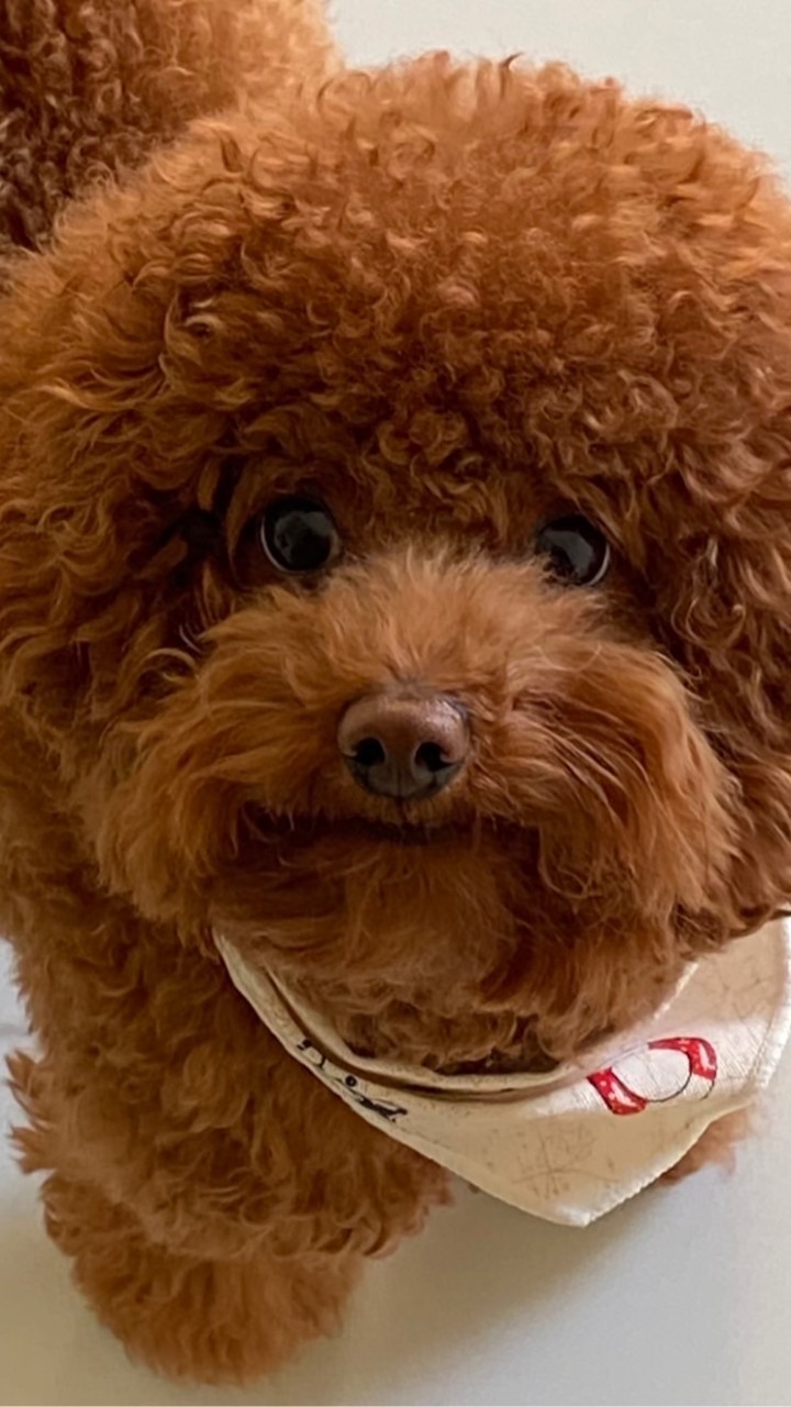 員林長虹天際屋主群