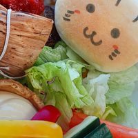230の愉快な仲間たち