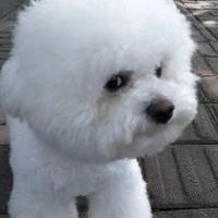 星哞經紀群