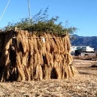 藤田区自治会