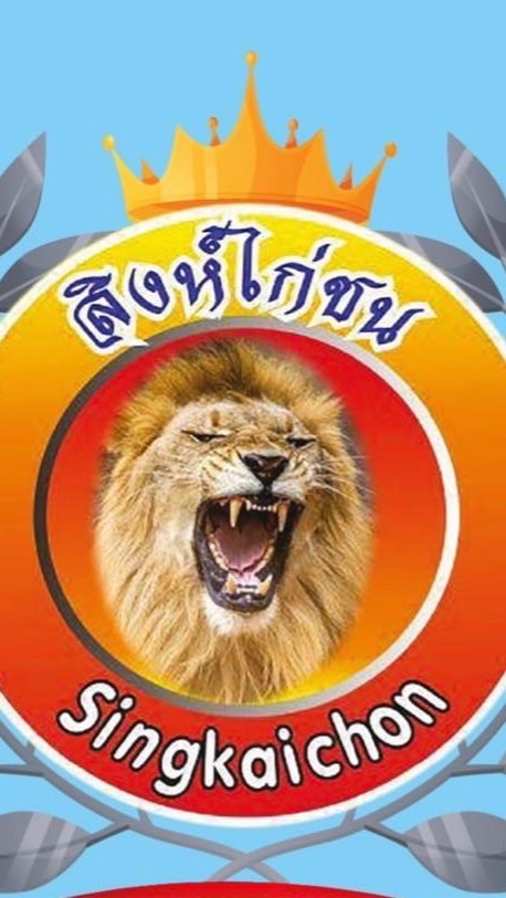 สนามสิงห์ไก่ชน 🦁🐔