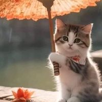 障害者、健常者♡