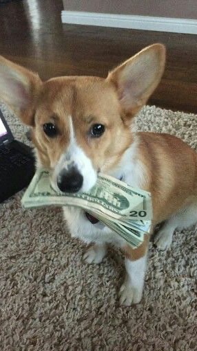 รับหิ้ว วัยรุ่นสร้างตัว