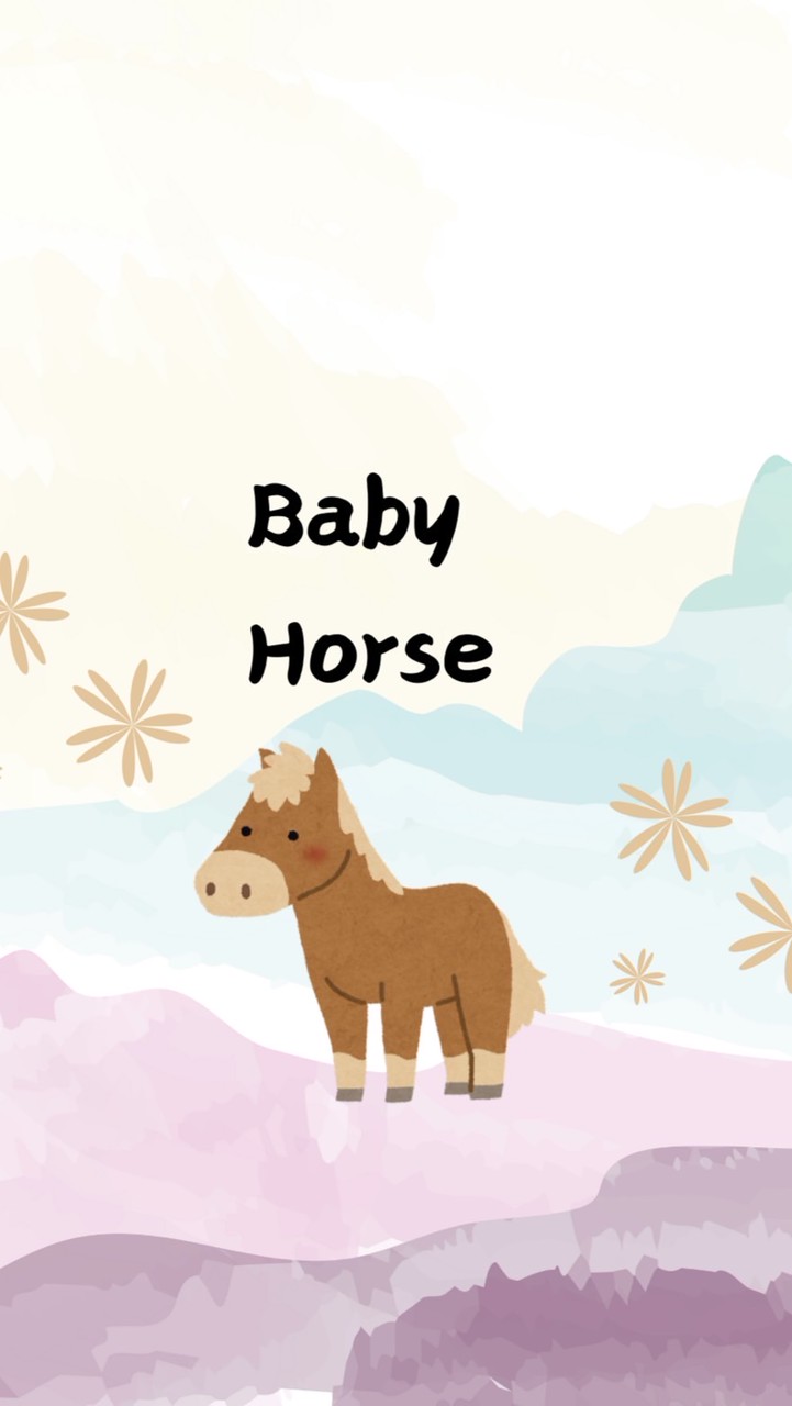 2026馬寶寶底加🐴Baby Horse🐴