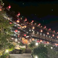 新社高中501