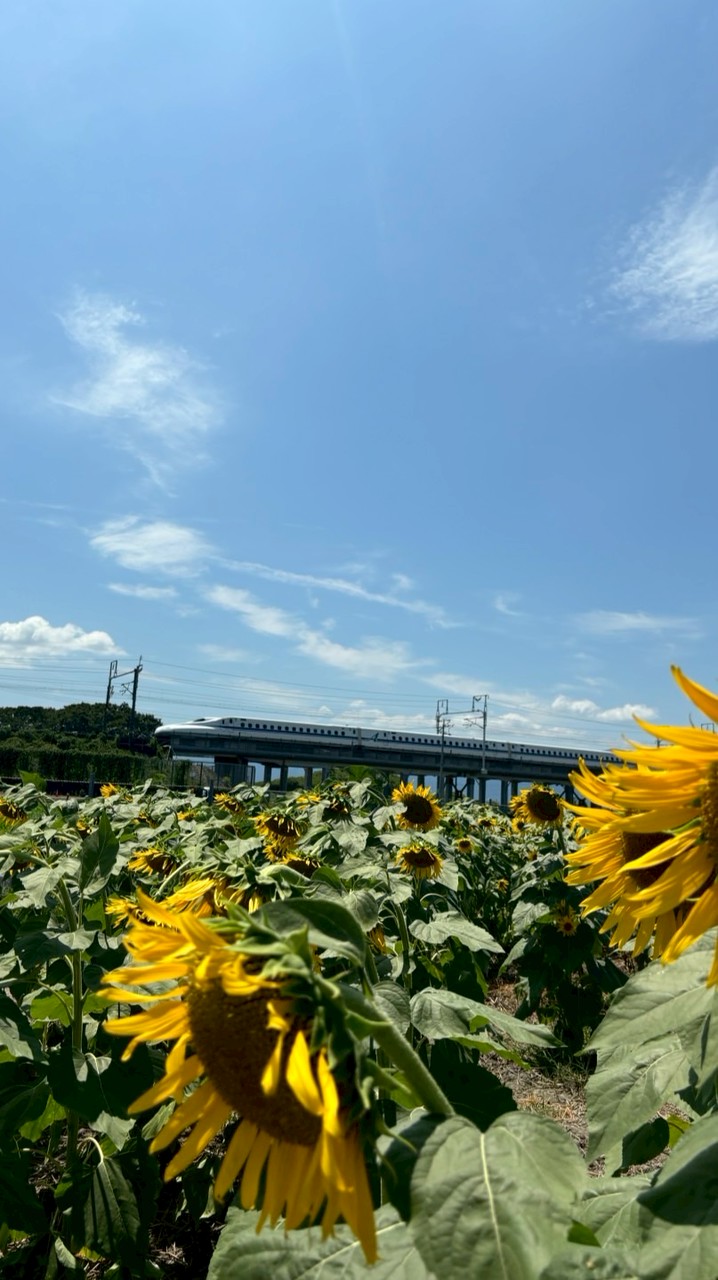 大阪限定〜雑談部屋🎵ゆったりたのしく