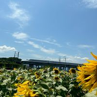 大阪限定〜雑談部屋🎵ゆったりたのしく