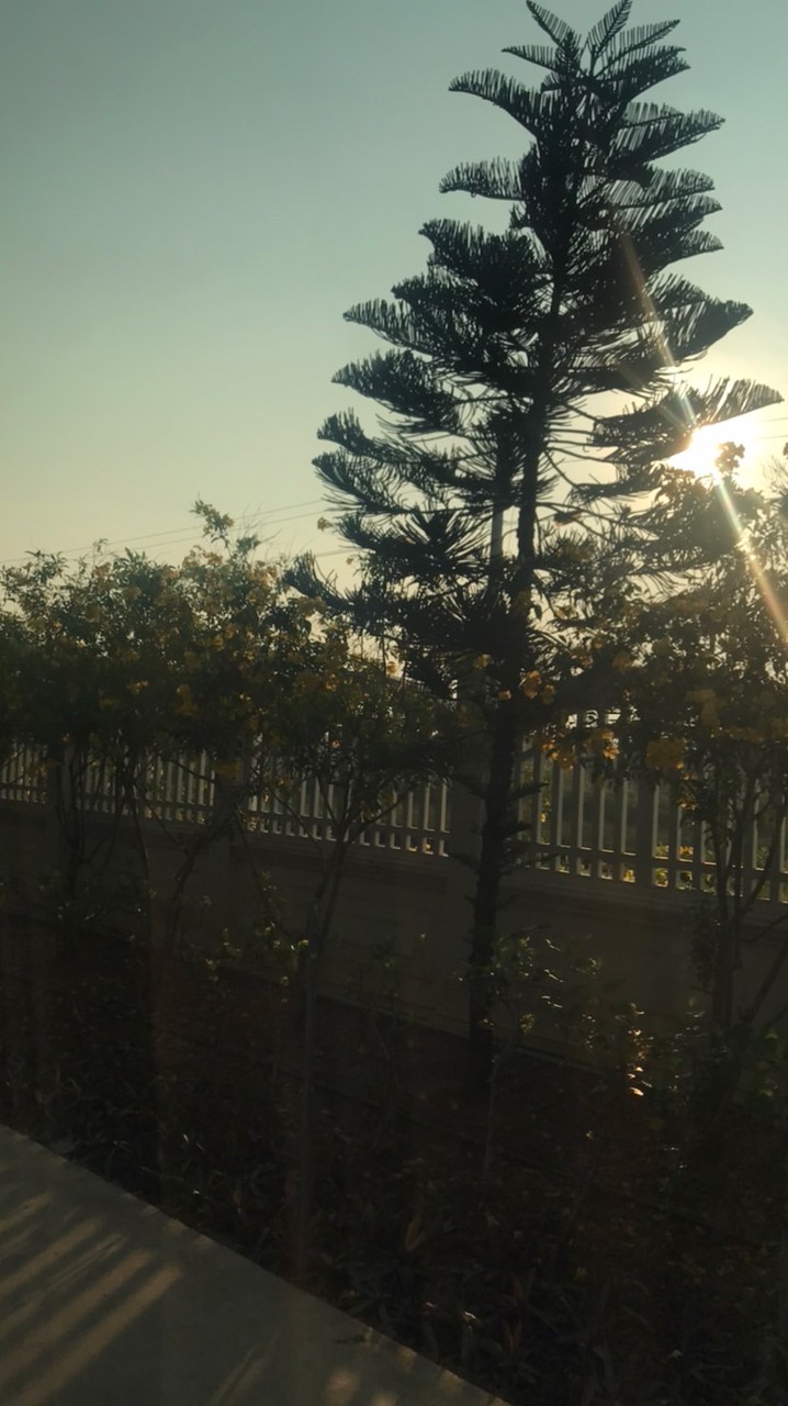 เเจกฟิค ภูเอเอ ค้าบบ~<3(อ่านกฏด้วยเด้ออ)^_^