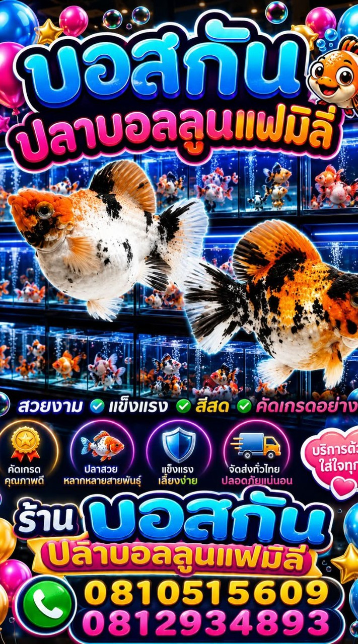 บอสกันต์   Molly Fish