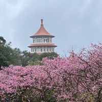 新靠北 7-11 全家 OK 萊爾富