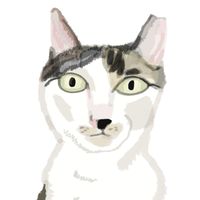 無尾香蕉支持團_ 閃靈家