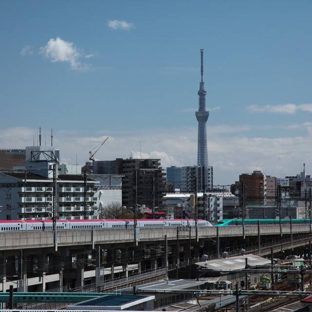My Image 19