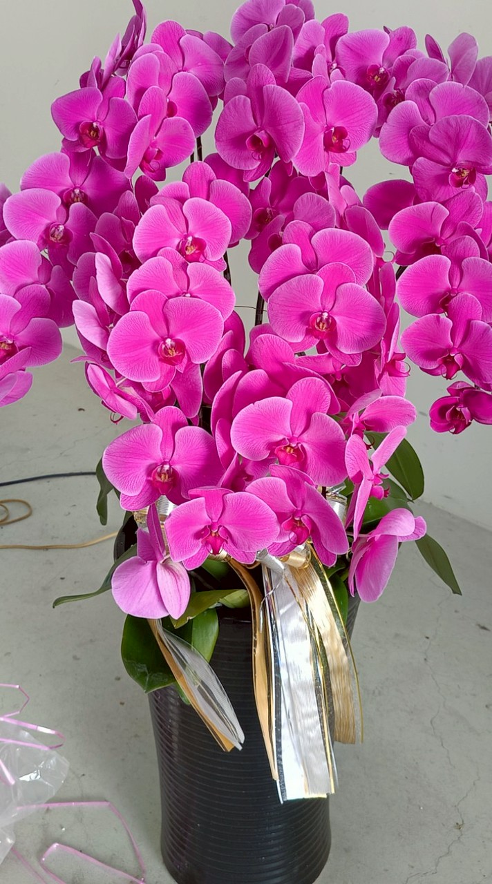 ¢水漾花坊€