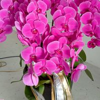 ¢水漾花坊€