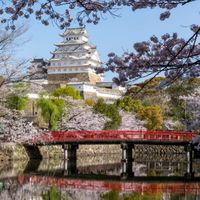 兵庫県南西アラフォーアラフィフ2号館♬.*..｡o✩°･: